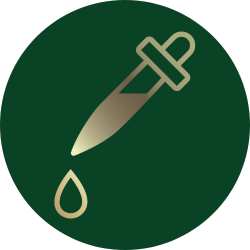 Haus of Life Icon (5)